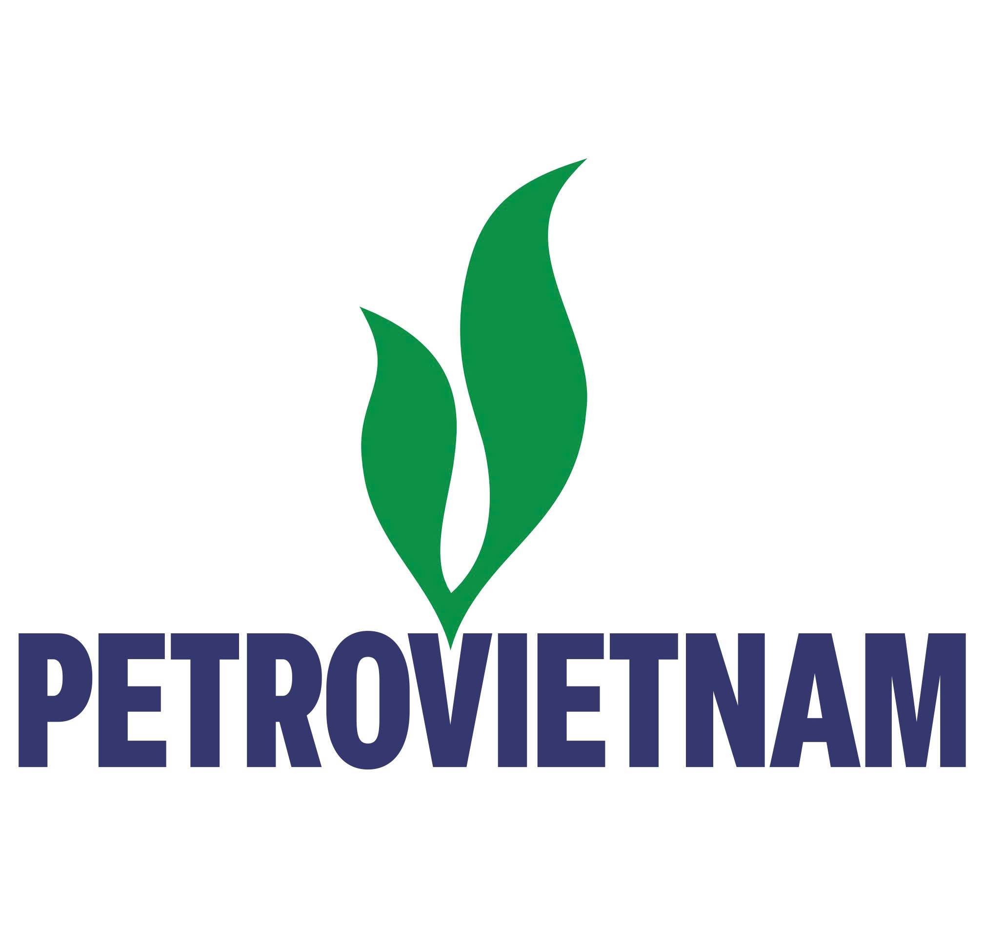 Petrovietnam